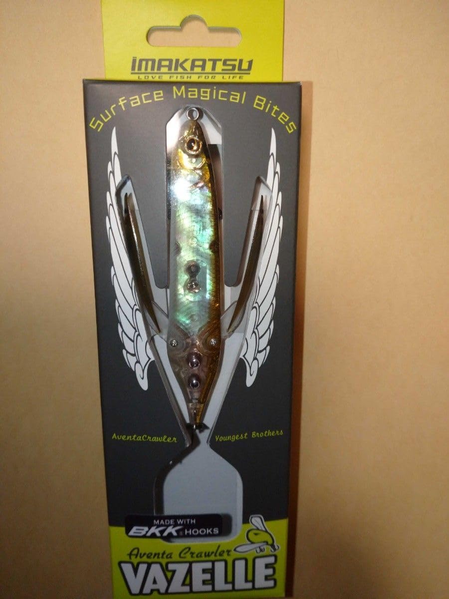 レア貝 世界最大 法螺貝 アラフラオオニシ貝 貝殻長約54センチ殻径約